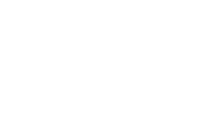 logo light